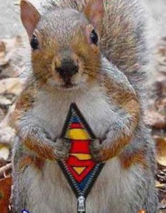 supersquirrel