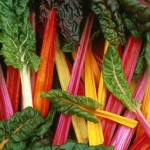 swiss-chard