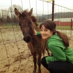 Jenn and Noel the Miniature Mule