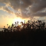 Sunset Blind Pass Beach Manasota Key