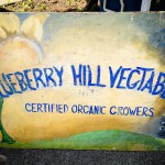 Blueberry Hill Vegetables Organic Farm MD