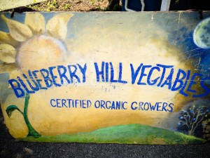 Blueberry Hill Vegetables Organic Farm MD