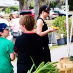 Farmers Market Port Royal SC