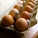 More farm fresh eggs