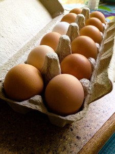 More farm fresh eggs