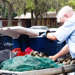 Oysters in a truck SC