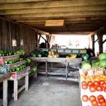 Kyles Farmstand Indiana