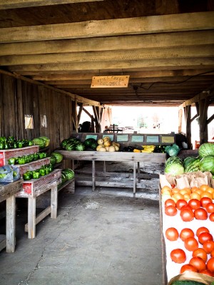 Kyles Farmstand Indiana