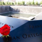 911 Memorial Rose