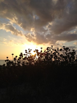 Sunset Blind Pass Beach Manasota Key