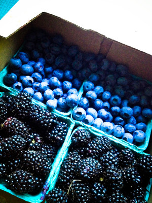 Berries WA