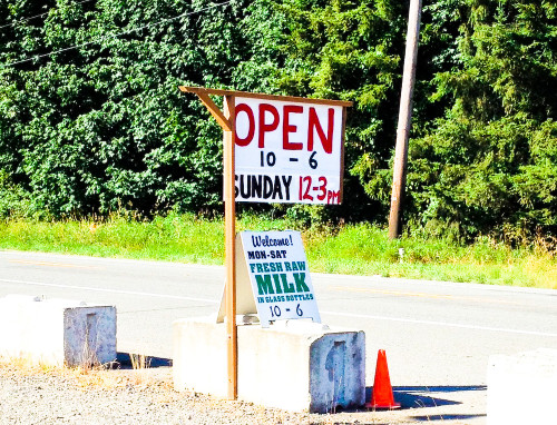 Raw Milk Stand Sign WA