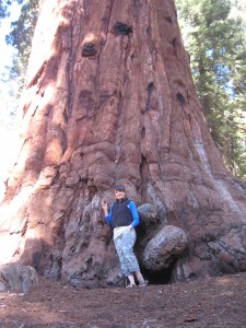 Holding a cone at the base of a Sequoia.