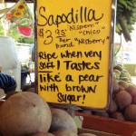 Sapodilla Fruit from Robert is Here