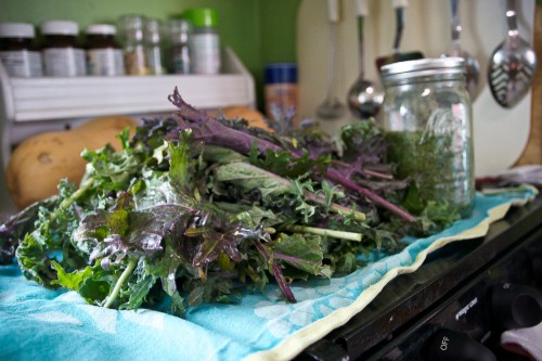 How to make green veggie powder