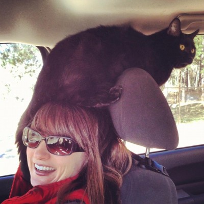 Please help me!!! I have a belligerent cat on my head!