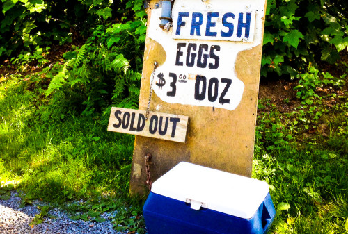 Fresh Eggs WA