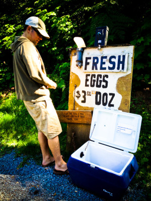 Fresh Farm Eggs WA
