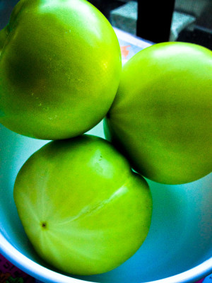 Green Tomatoes WA