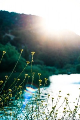 GL Shoot Fern Lake Sunrise